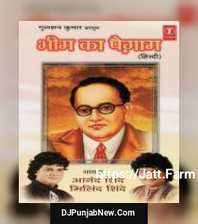 Bheemji Ka Sanvidhan Anand Shinde