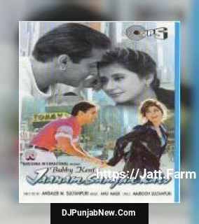 Jaanam Samjha Karo