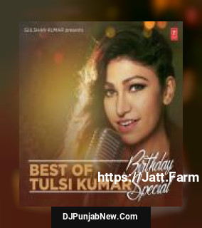 Sanam Re Mithoon, Tulsi Kumar