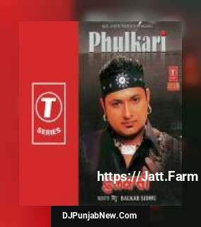 Phulkari Balkar Sidhu