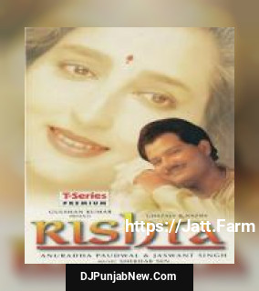 Apna Koi Mile To Gale Se Lagaiye Anuradha Paudwal