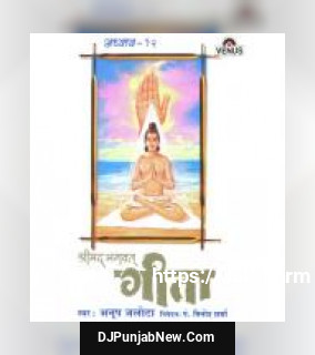 Shreemad Bhagwat Geeta - Vol. 12