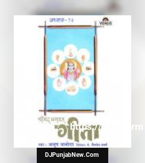 Shreemad Bhagwat Geeta - Vol. 13