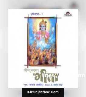 Shreemad Bhagwat Geeta - Vol. 4