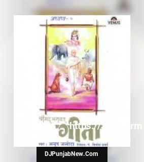 Shreemad Bhagwat Geeta - Vol. 5