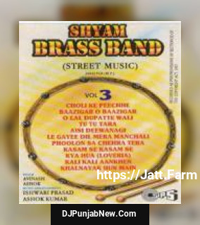 Shyam Brass Band Street Music