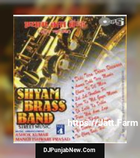 Shyam Brass Band Street Music