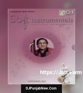 Soft Instrumental Ghulam Ali