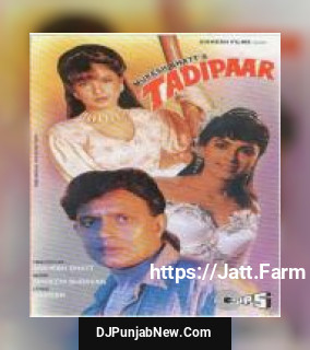 Tadipaar