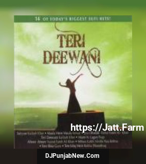 Teri Deewani Kailash Kher