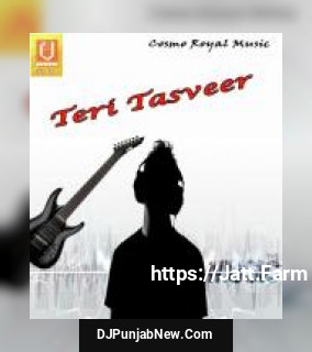 Teri Tasveer