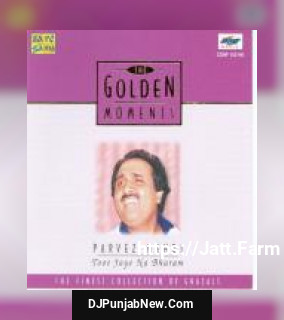 T. G. M - Parvez Mehdi - Toot Jaye Na Bharam