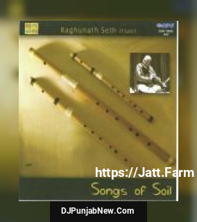 Songs Of Soil - Raghunath Seth