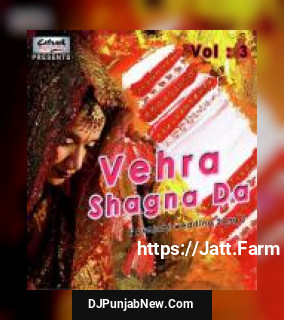 Vehra Shagna Da, Vol. 3