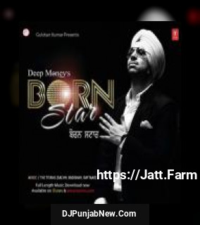 Bottle Deep Money, Raftaar