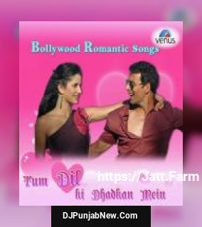 Tum Dil Ki Dhadkan Mein - Bollywood Romantic Songs