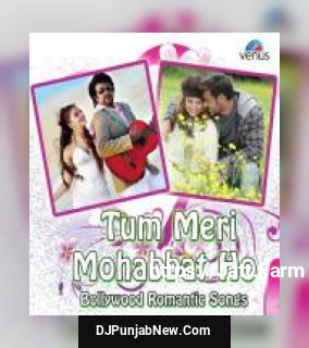 Tum Meri Mohabbat Ho - Bollywood Romantic Songs