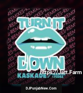 Turn It Down Remixes