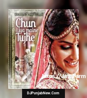 Phoolon Sa Chehra Tera Udit Narayan