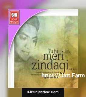 Tu Hi Meri Zindagi