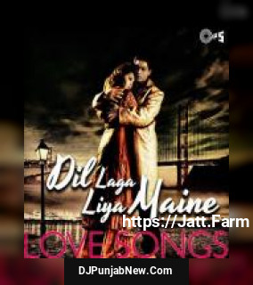 Dil Laga Liya Maine Alka Yagnik, Udit Narayan