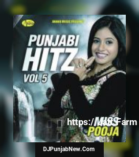 Punjabi Hit&039;z Vol.5