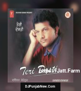 Teri Dosti