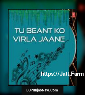 Tu Beant Ko Virla Jaane