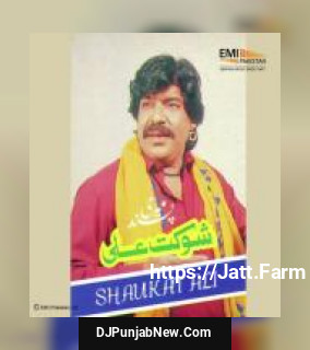 Shaukat Ali Meri Pasand