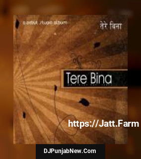 Tere Bina