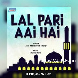 Sitara Nahin Mila Zeba Naaz
