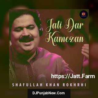 Jali Dar Kamezan Shafullah Khan Rokhrhi