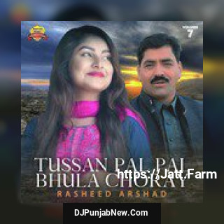 Tussan Pal Pal Bhula Choray, Vol. 7