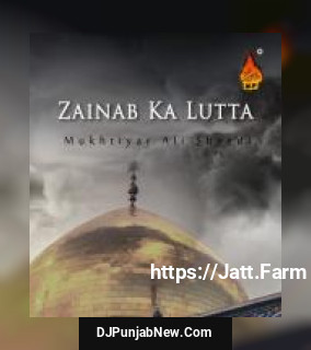 Zainab Ka Lutta