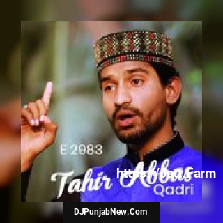 Tahir Abbas Qadri E, Vol. 2983