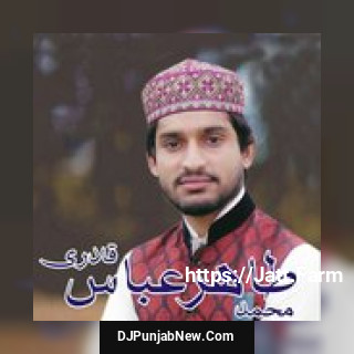 Tahir Abbas Qadri