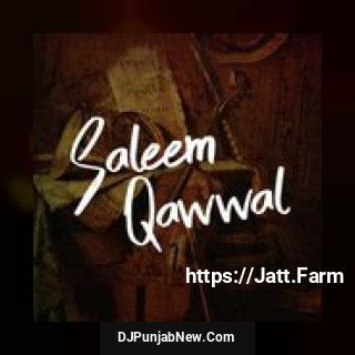 Saleem Qawaal, Vol. 290