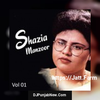 Shazia Manzoor, Vol. 1