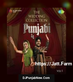 The Wedding Collection Punjabi Vol. 1