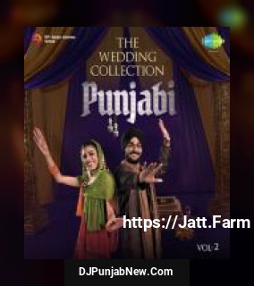 The Wedding Collection Punjabi Vol. 2