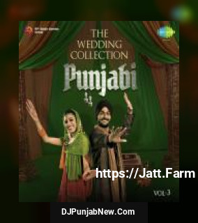 The Wedding Collection Punjabi Vol. 3