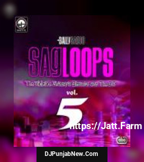 Sagloops Volume 5 - The Ultimate Bhangra Shouts For The Dj