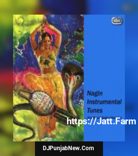 Nagin Instrumental Tune 10 Various Indian Instrumentalists
