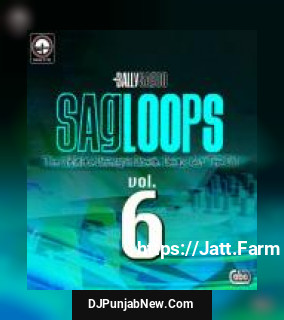 Sagloops Volume 6 - The Ultimate Bhangra Break Beats For The DJ