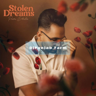 Stolen Dreams