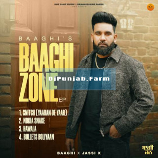 Baaghi Zone