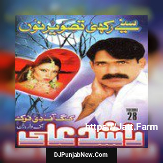 Sinay Rakhi Tasweer Nu, Vol. 28