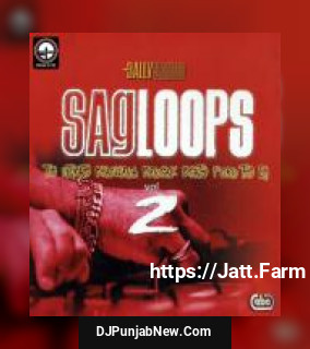 Sagloops Volume 2 - The Ultimate Bhangra Break Beats For The DJ