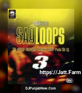 Sagloops Volume 3 - The Ultimate Bhangra Break Beats For The DJ