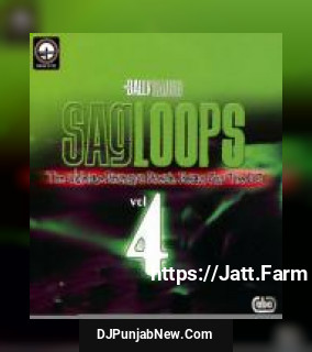 Sagloops Volume 4 - The Ultimate Bhangra Break Beats For The DJ